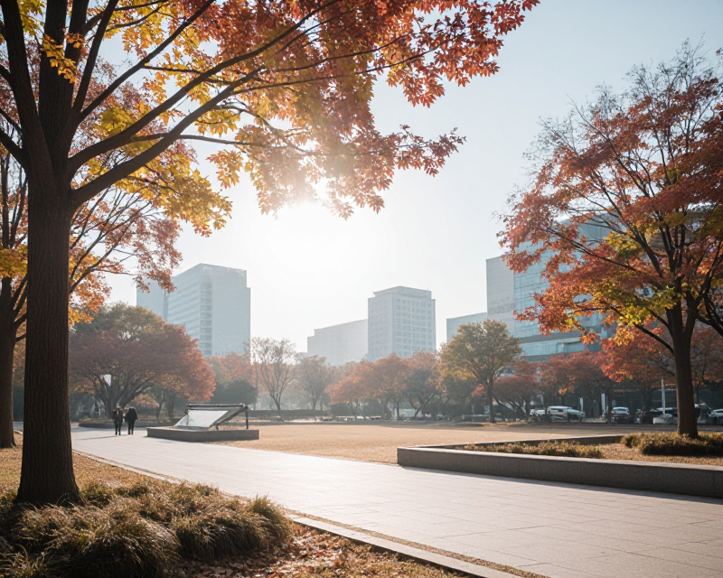 Sunny Autumn Morning in Seoul